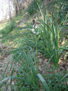 DSC00860.JPG
