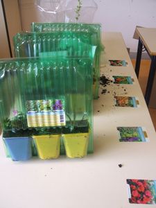 2013_4-avril_Vente-de-fleurs_12.JPG
