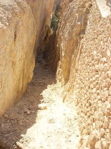 Oasis de Chebika (12)