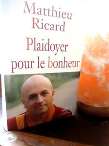 Matthieu-ricard-Plaidoyer-pour-le-bonheur-copie-1.JPG
