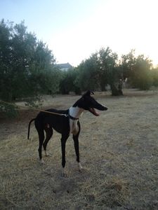 Diego-1.jpg