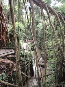 Ubud, sanctuaire des singes, Bali, Indonésie 095 (6)