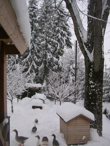 fevrier 2013 005