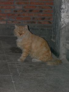 Photos Gongmenkou 041011 055