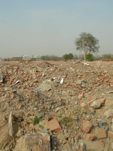 Photos-Tangjialing-Shigezhuang-061111-008.jpg