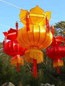 Photos-Pekin-janvier-fevrier-2011-suite-1-061.jpg
