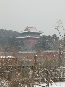 Photos-Pekin-janvier-fevrier-2011-suite-2-008.jpg