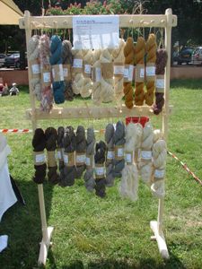 stand-lolo-013.jpg