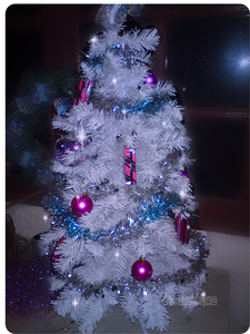 sapin1.png