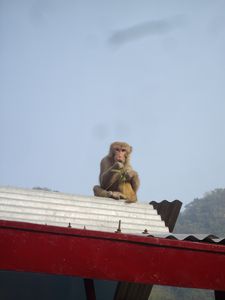 2 Rishikesh, Uttarakhand