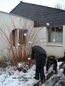 boules de neige 2012 06