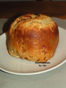 panettone.jpg