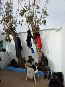20120429_080615.jpg