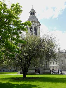 DSCN0963.JPG