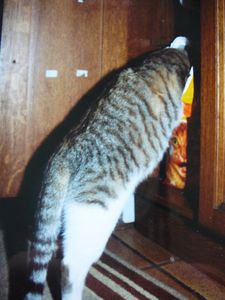 7)