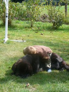 Photo 041