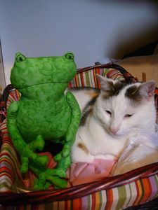 Photo 002