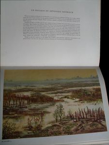 livre 7