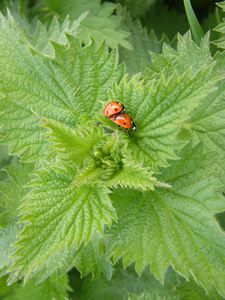 concours-jardin-015.JPG