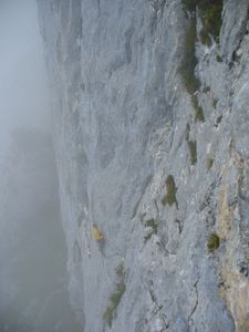 P1010242