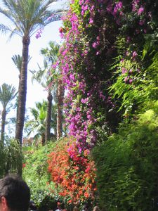 Photo Maroc 150