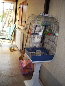 Photo 1542