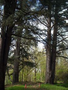DSCN0975.JPG