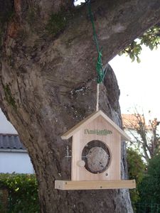 DSCN3237.JPG