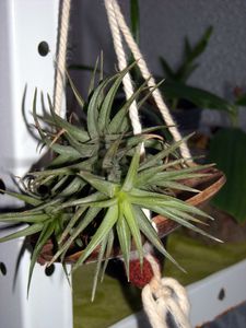 DSCN3907.JPG