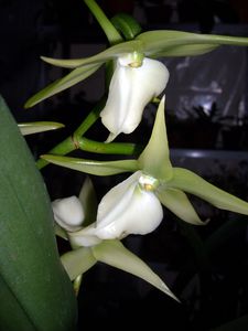 DSCN3964.JPG