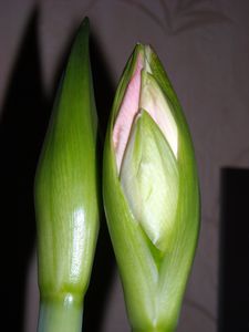 DSCN4071.JPG