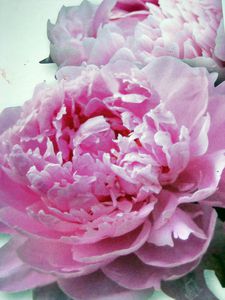 DSCN4113.JPG