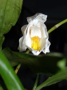 DSCN4182.JPG