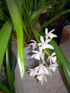 DSCN4518.JPG