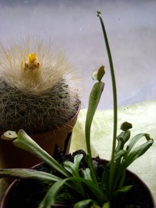 DSCN4544.JPG
