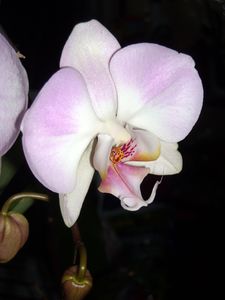 DSCN4785.JPG