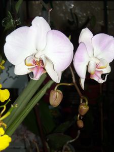 DSCN4791.JPG