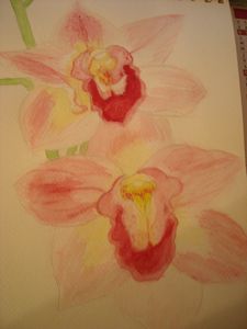 DSCN4946.JPG