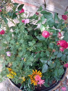 DSCN5023.JPG