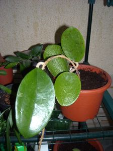 DSCN5024.JPG