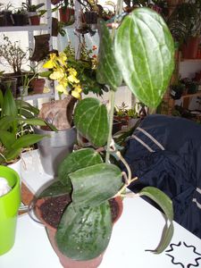 DSCN5026.JPG