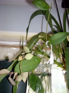 DSCN5037.JPG