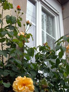 DSCN5056.JPG