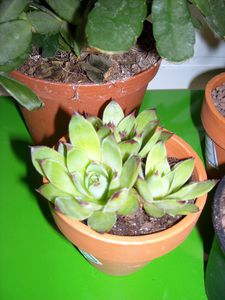DSCN5104.JPG