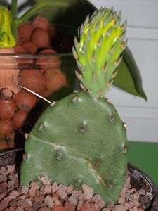 DSCN5134.JPG