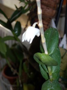 DSCN5565.JPG