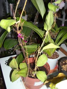 DSCN5771.JPG