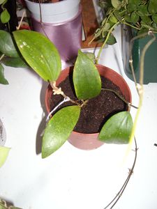 DSCN5875.JPG