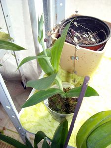 DSCN5892.JPG