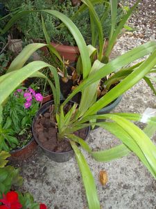 DSCN5896.JPG